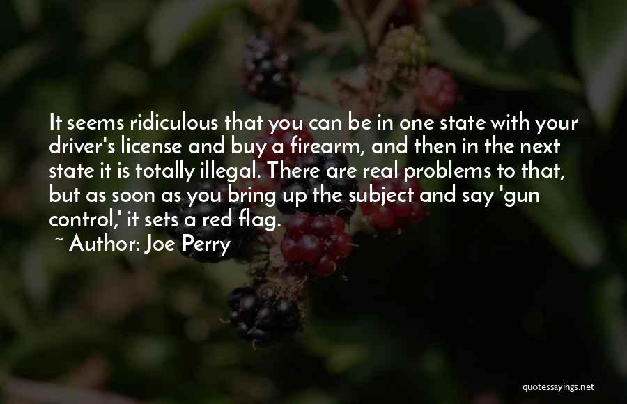 Joe Perry Quotes: It Seems Ridiculous That You Can Be In One State With Your Driver's License And Buy A Firearm, And Then