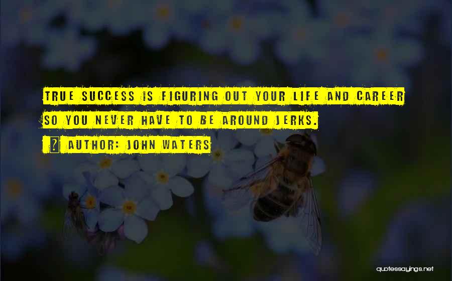 John Waters Quotes: True Success Is Figuring Out Your Life And Career So You Never Have To Be Around Jerks.