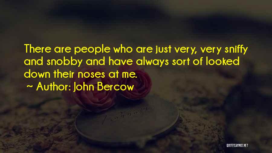 John Bercow Quotes: There Are People Who Are Just Very, Very Sniffy And Snobby And Have Always Sort Of Looked Down Their Noses