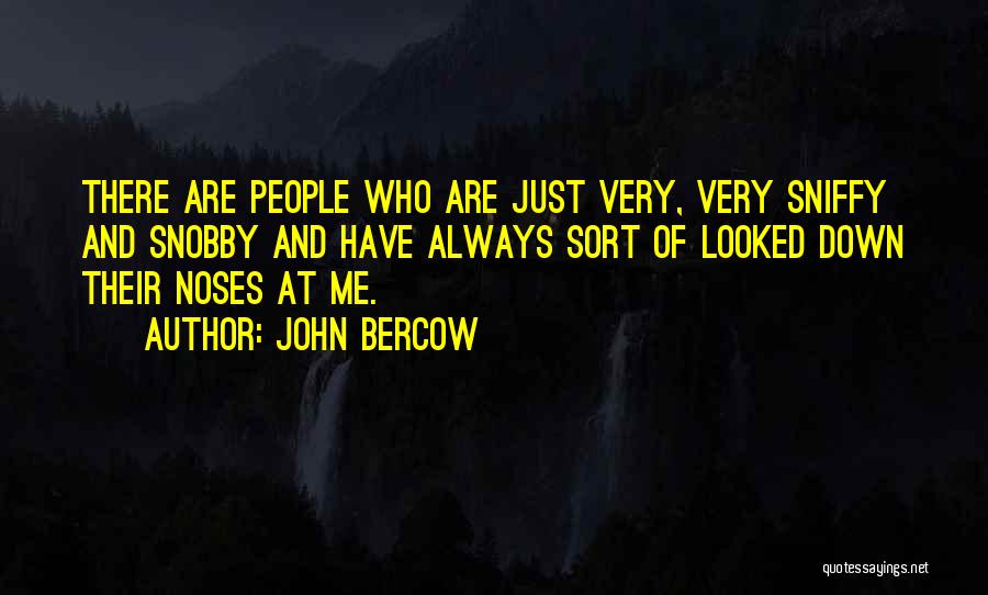 John Bercow Quotes: There Are People Who Are Just Very, Very Sniffy And Snobby And Have Always Sort Of Looked Down Their Noses