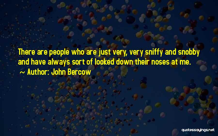 John Bercow Quotes: There Are People Who Are Just Very, Very Sniffy And Snobby And Have Always Sort Of Looked Down Their Noses