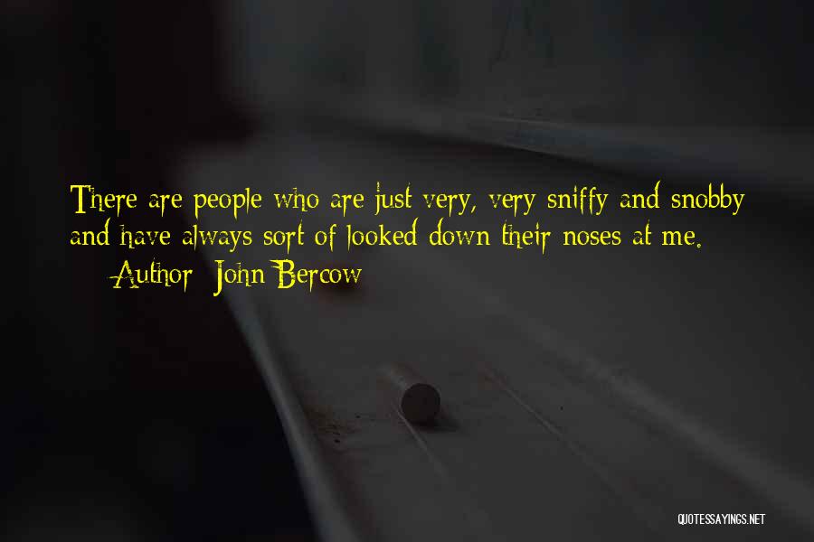 John Bercow Quotes: There Are People Who Are Just Very, Very Sniffy And Snobby And Have Always Sort Of Looked Down Their Noses