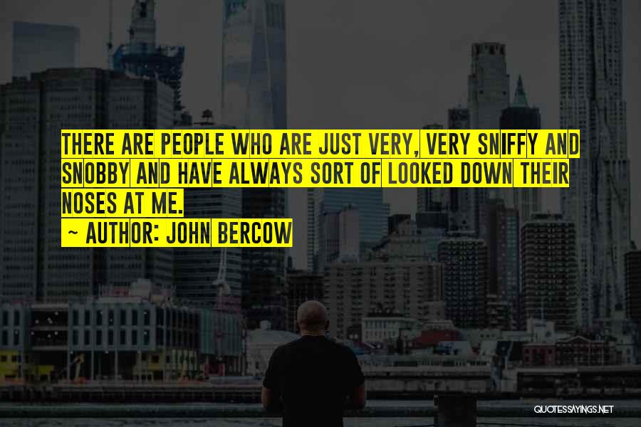 John Bercow Quotes: There Are People Who Are Just Very, Very Sniffy And Snobby And Have Always Sort Of Looked Down Their Noses