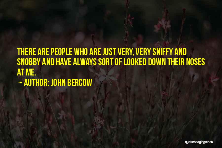 John Bercow Quotes: There Are People Who Are Just Very, Very Sniffy And Snobby And Have Always Sort Of Looked Down Their Noses