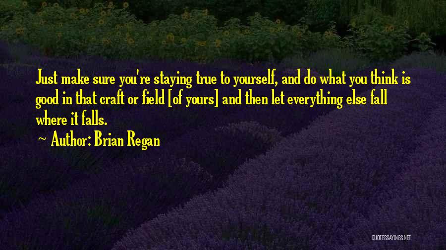 Brian Regan Quotes: Just Make Sure You're Staying True To Yourself, And Do What You Think Is Good In That Craft Or Field