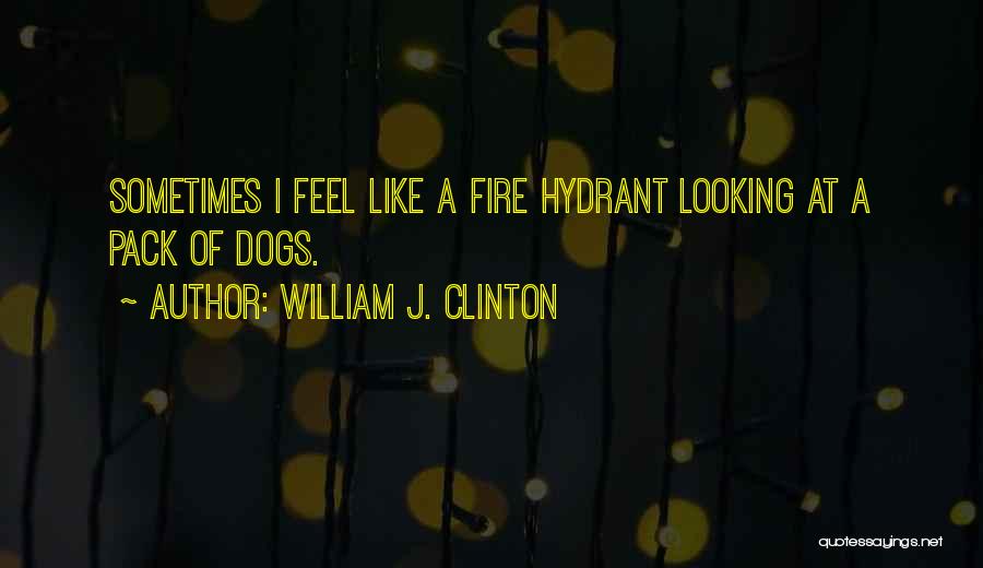 William J. Clinton Quotes: Sometimes I Feel Like A Fire Hydrant Looking At A Pack Of Dogs.