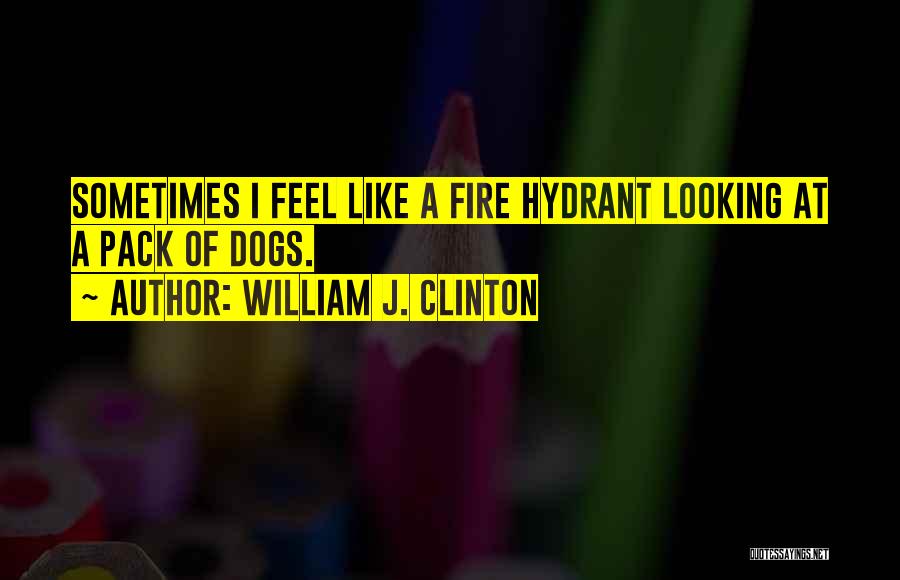 William J. Clinton Quotes: Sometimes I Feel Like A Fire Hydrant Looking At A Pack Of Dogs.