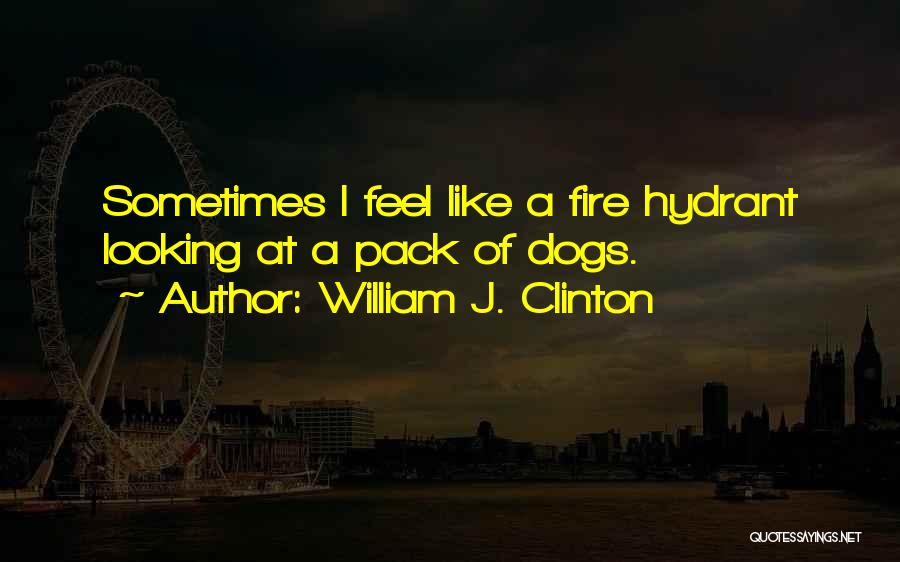 William J. Clinton Quotes: Sometimes I Feel Like A Fire Hydrant Looking At A Pack Of Dogs.