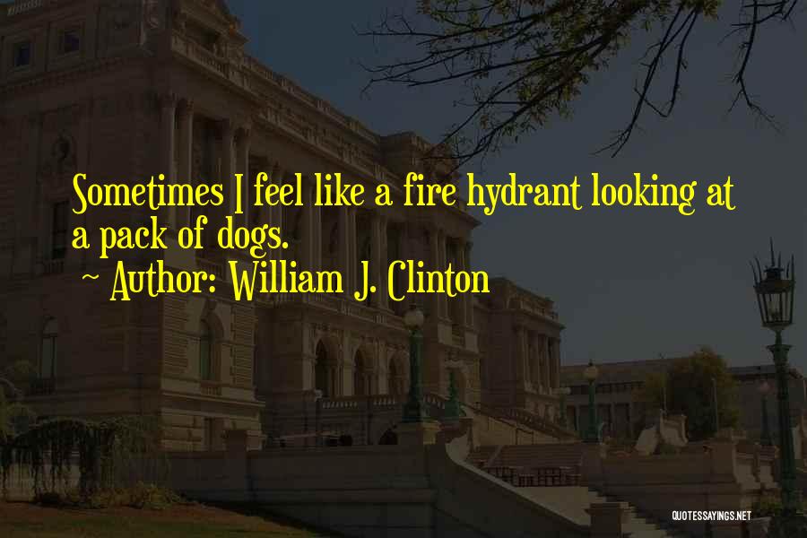 William J. Clinton Quotes: Sometimes I Feel Like A Fire Hydrant Looking At A Pack Of Dogs.