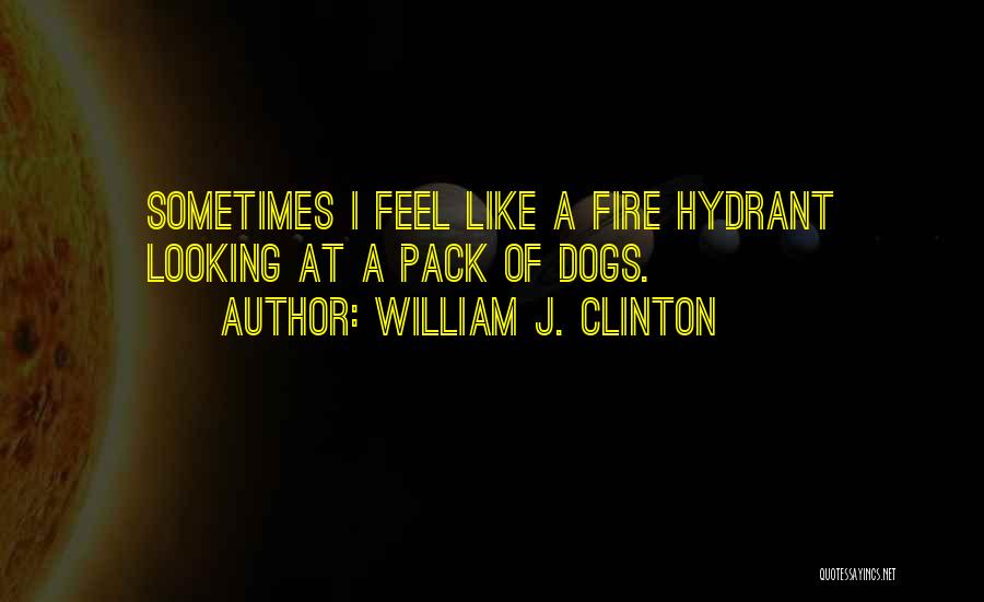 William J. Clinton Quotes: Sometimes I Feel Like A Fire Hydrant Looking At A Pack Of Dogs.