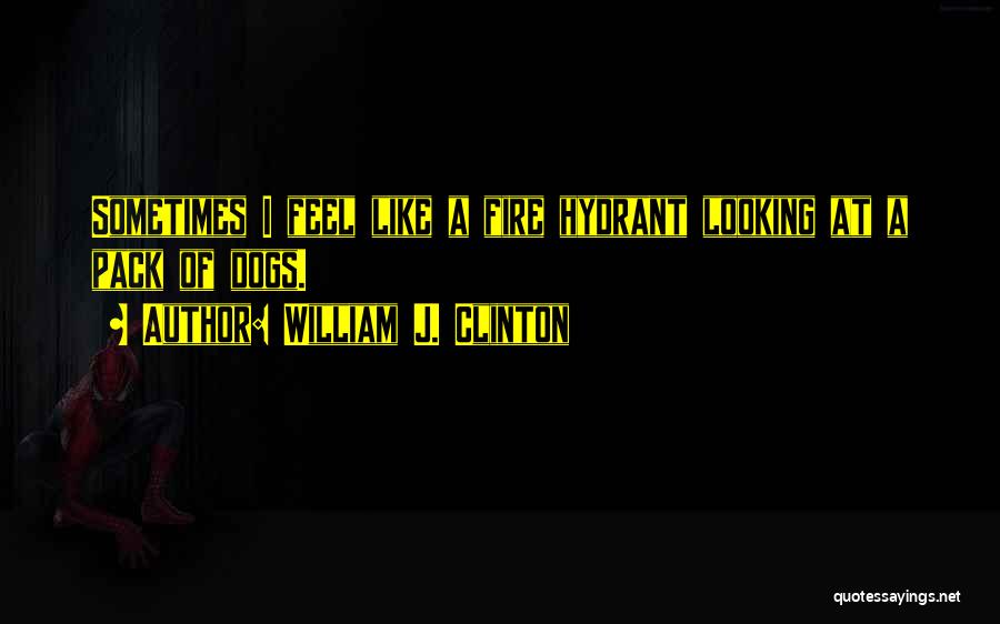 William J. Clinton Quotes: Sometimes I Feel Like A Fire Hydrant Looking At A Pack Of Dogs.