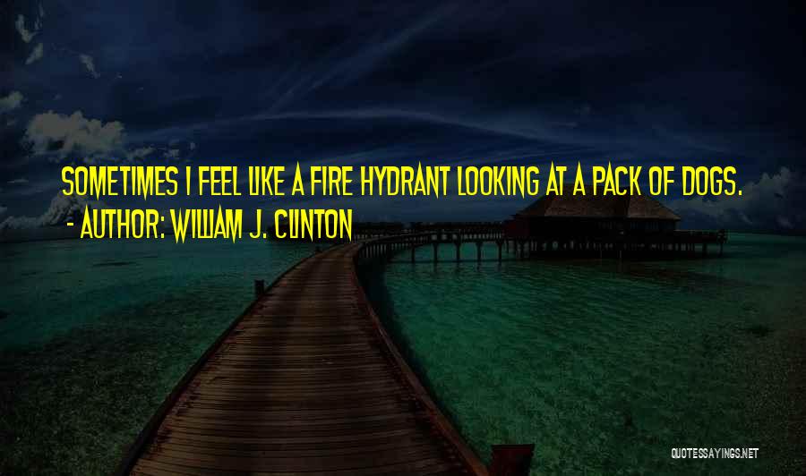 William J. Clinton Quotes: Sometimes I Feel Like A Fire Hydrant Looking At A Pack Of Dogs.