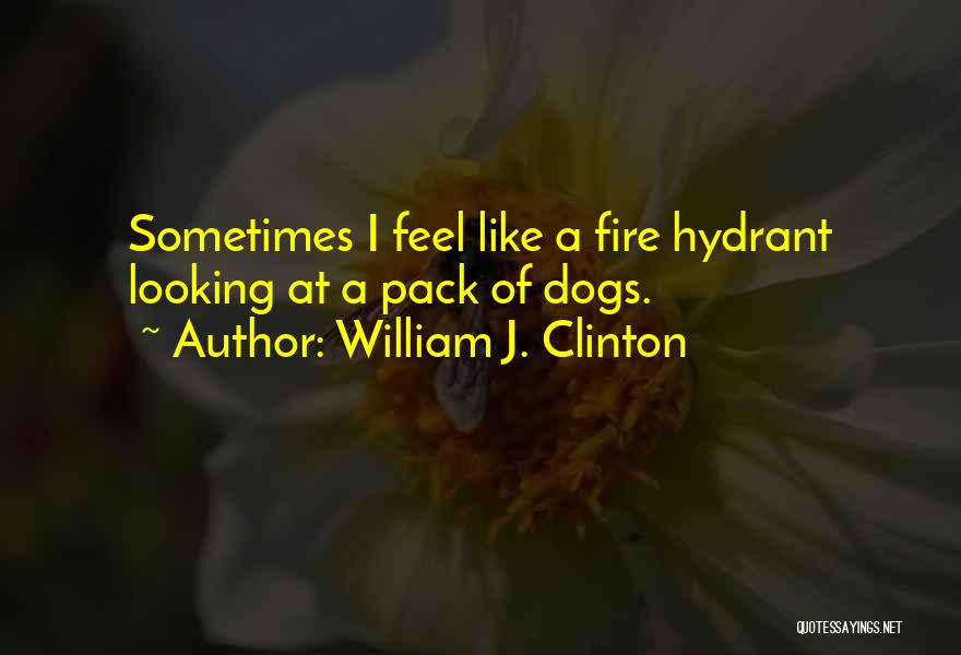 William J. Clinton Quotes: Sometimes I Feel Like A Fire Hydrant Looking At A Pack Of Dogs.