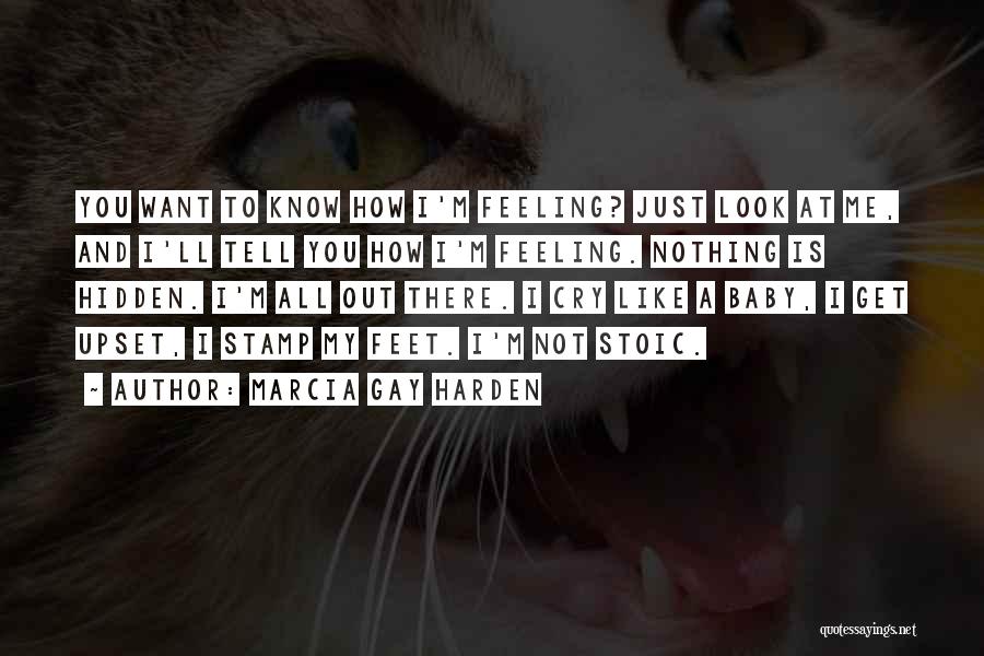 Marcia Gay Harden Quotes: You Want To Know How I'm Feeling? Just Look At Me, And I'll Tell You How I'm Feeling. Nothing Is