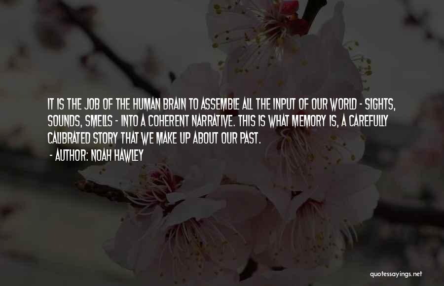 Noah Hawley Quotes: It Is The Job Of The Human Brain To Assemble All The Input Of Our World - Sights, Sounds, Smells