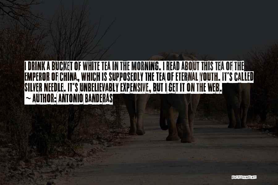 Antonio Banderas Quotes: I Drink A Bucket Of White Tea In The Morning. I Read About This Tea Of The Emperor Of China,