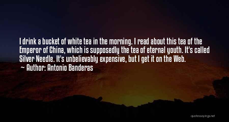 Antonio Banderas Quotes: I Drink A Bucket Of White Tea In The Morning. I Read About This Tea Of The Emperor Of China,