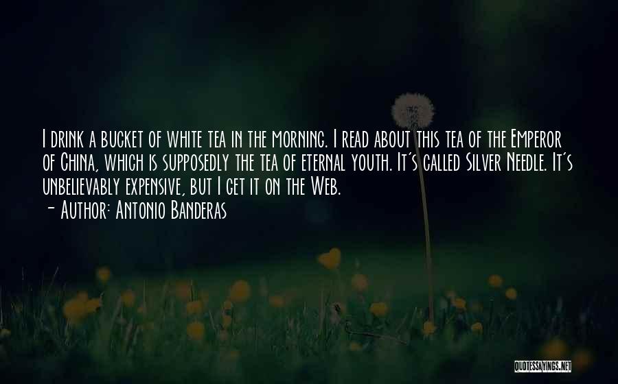 Antonio Banderas Quotes: I Drink A Bucket Of White Tea In The Morning. I Read About This Tea Of The Emperor Of China,