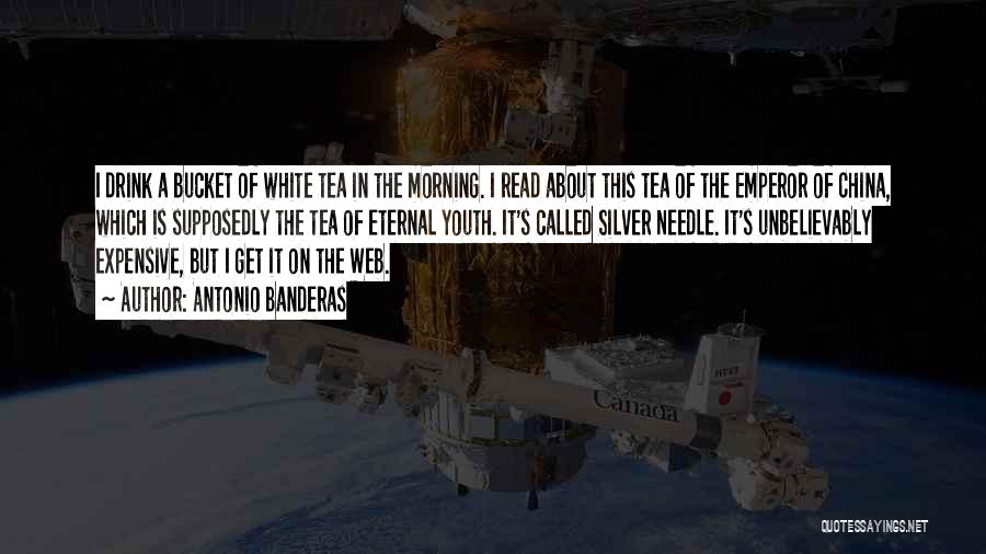 Antonio Banderas Quotes: I Drink A Bucket Of White Tea In The Morning. I Read About This Tea Of The Emperor Of China,