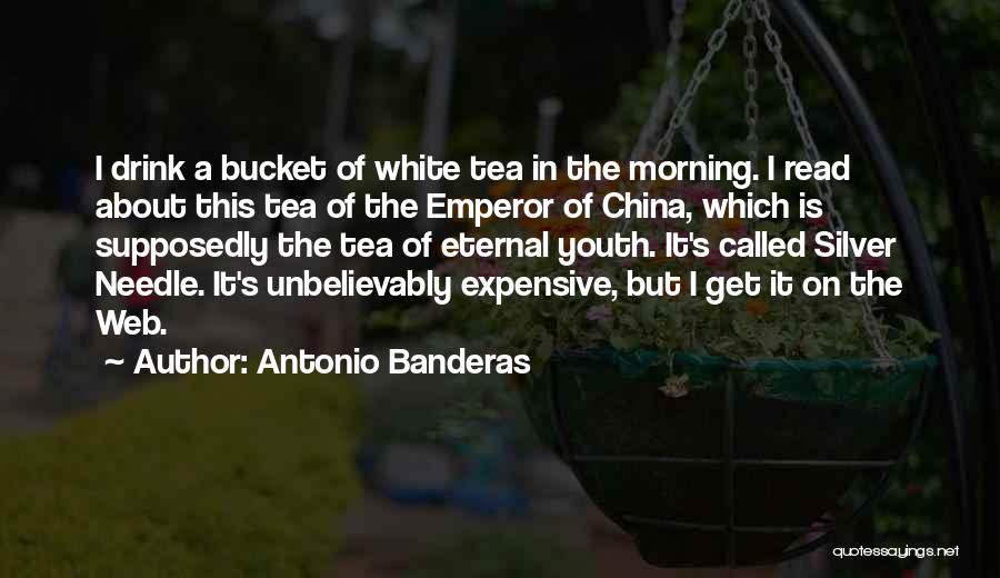Antonio Banderas Quotes: I Drink A Bucket Of White Tea In The Morning. I Read About This Tea Of The Emperor Of China,