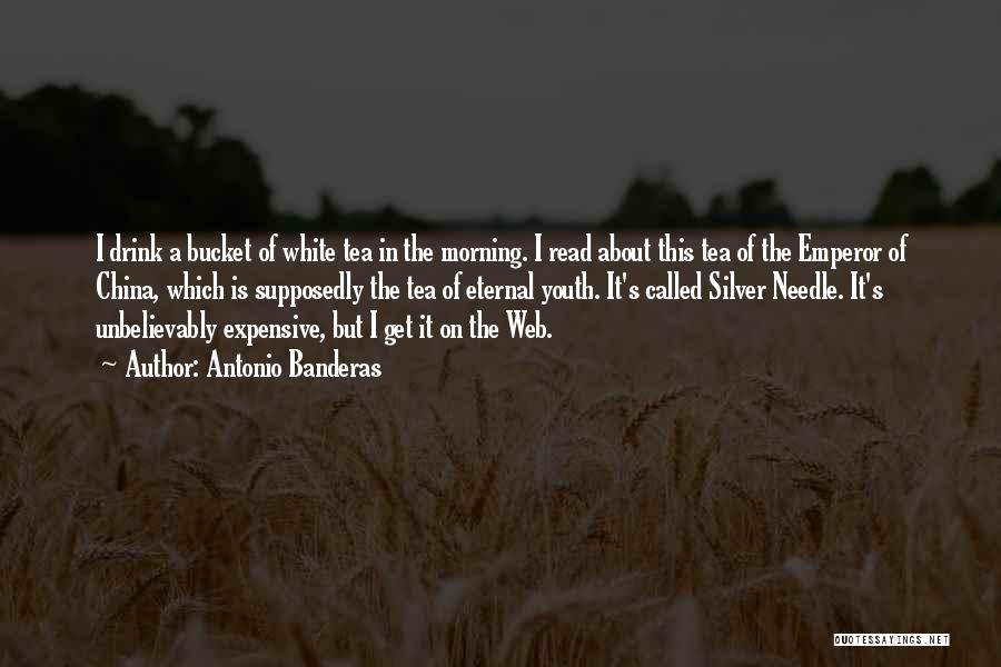 Antonio Banderas Quotes: I Drink A Bucket Of White Tea In The Morning. I Read About This Tea Of The Emperor Of China,
