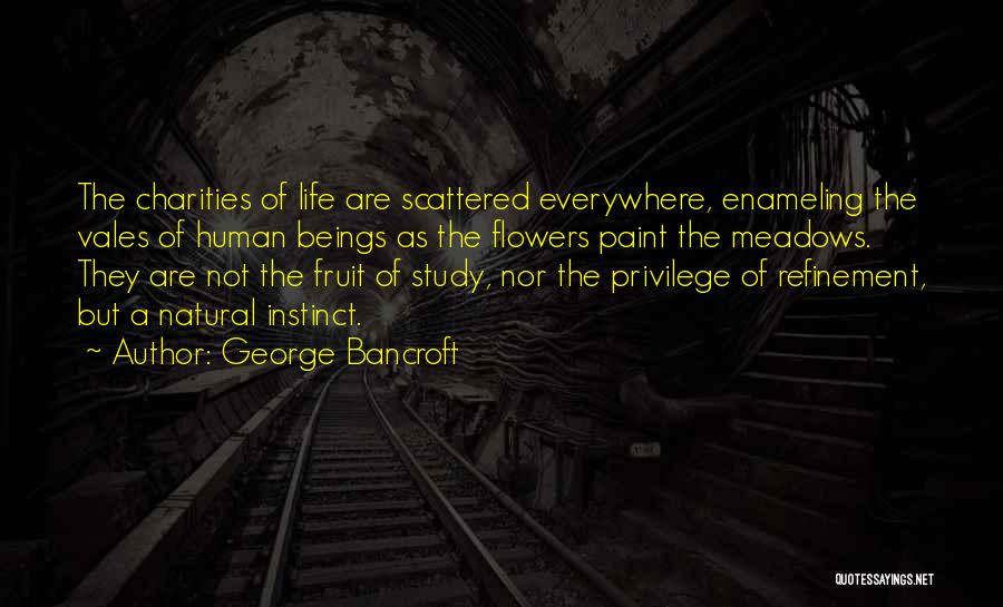 George Bancroft Quotes: The Charities Of Life Are Scattered Everywhere, Enameling The Vales Of Human Beings As The Flowers Paint The Meadows. They