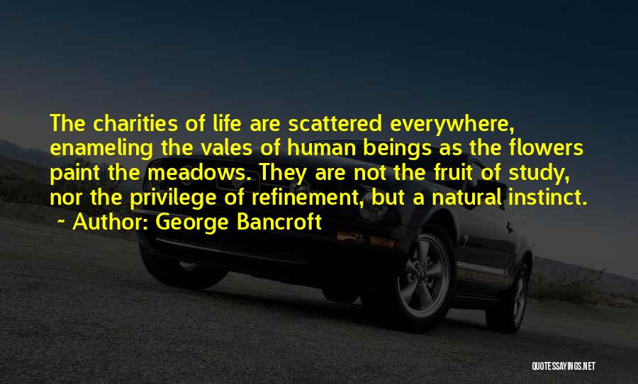 George Bancroft Quotes: The Charities Of Life Are Scattered Everywhere, Enameling The Vales Of Human Beings As The Flowers Paint The Meadows. They