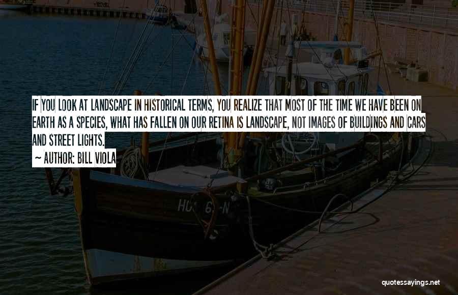 Bill Viola Quotes: If You Look At Landscape In Historical Terms, You Realize That Most Of The Time We Have Been On Earth