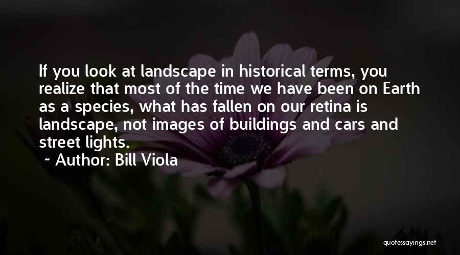 Bill Viola Quotes: If You Look At Landscape In Historical Terms, You Realize That Most Of The Time We Have Been On Earth