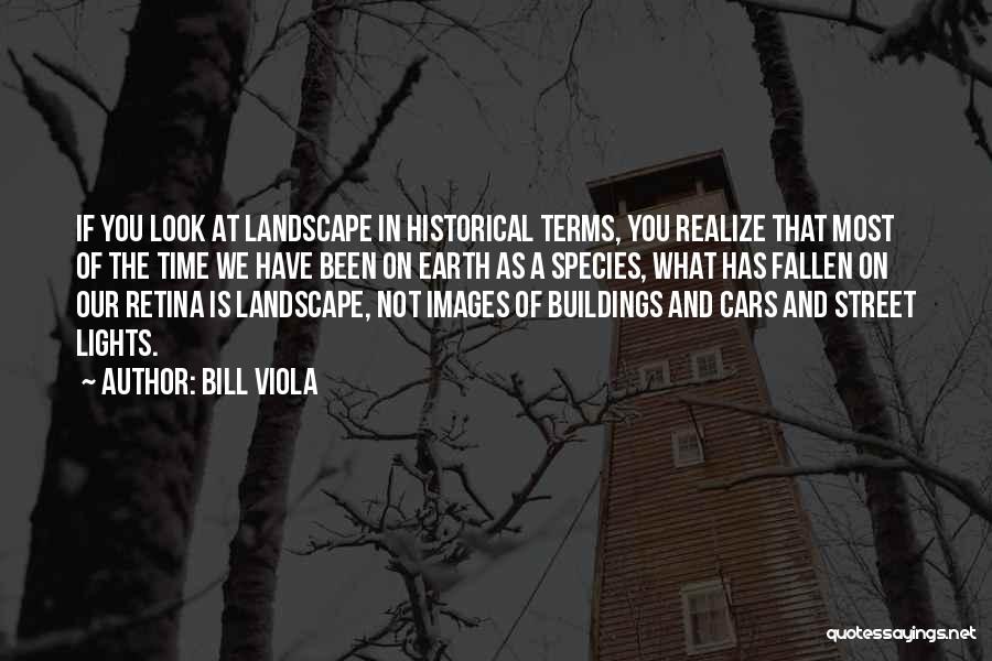 Bill Viola Quotes: If You Look At Landscape In Historical Terms, You Realize That Most Of The Time We Have Been On Earth