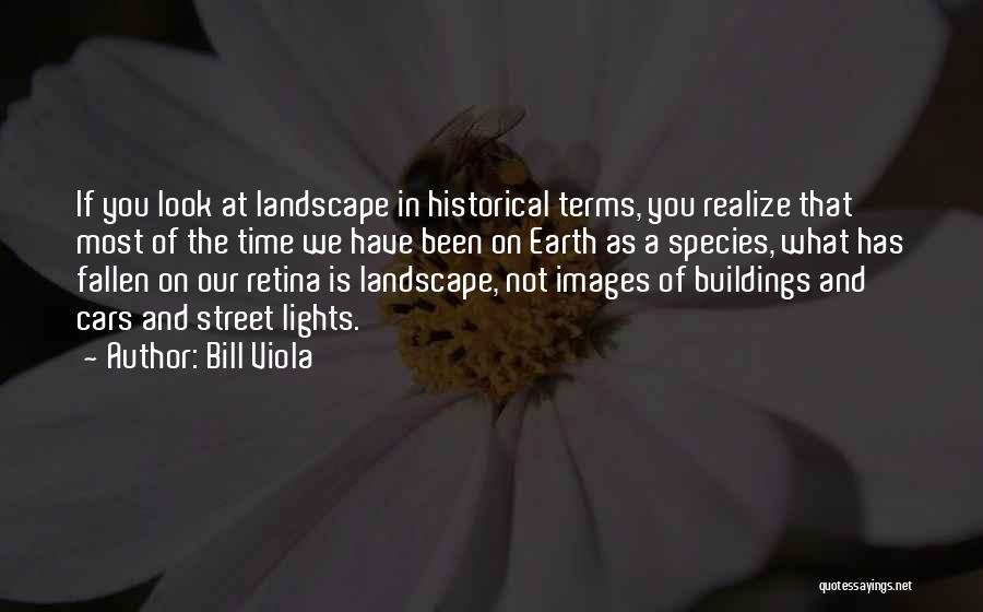 Bill Viola Quotes: If You Look At Landscape In Historical Terms, You Realize That Most Of The Time We Have Been On Earth