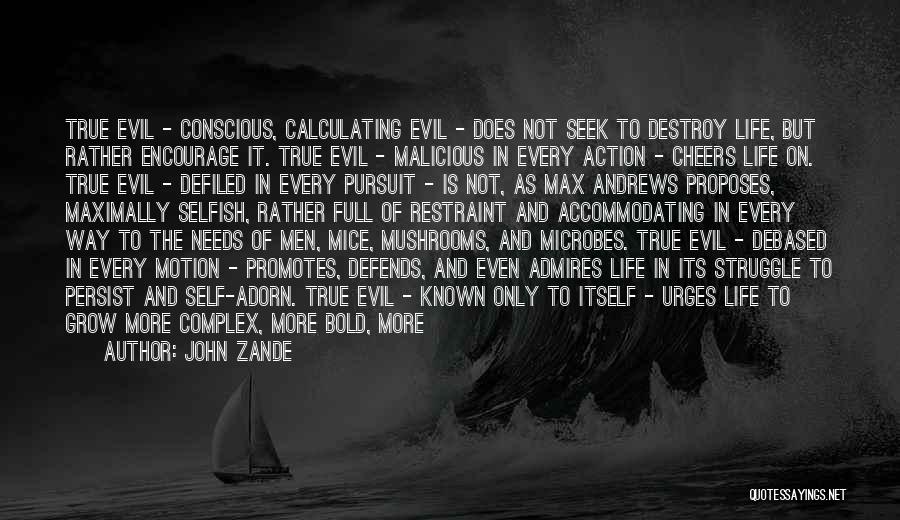 John Zande Quotes: True Evil - Conscious, Calculating Evil - Does Not Seek To Destroy Life, But Rather Encourage It. True Evil -