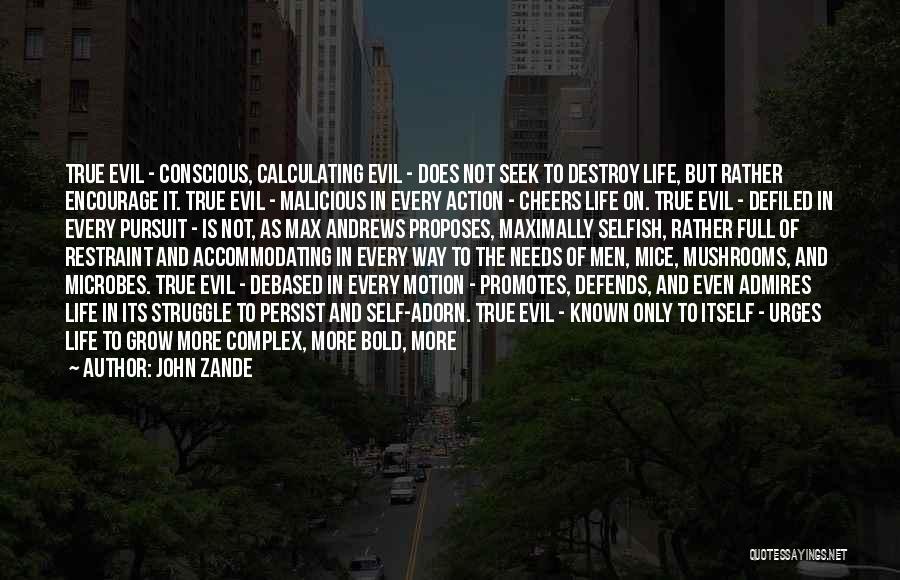 John Zande Quotes: True Evil - Conscious, Calculating Evil - Does Not Seek To Destroy Life, But Rather Encourage It. True Evil -