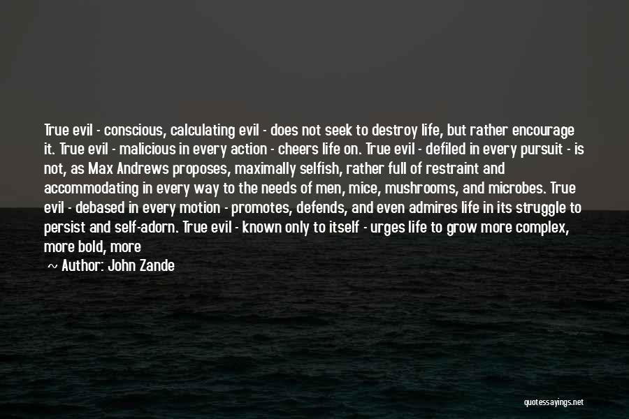 John Zande Quotes: True Evil - Conscious, Calculating Evil - Does Not Seek To Destroy Life, But Rather Encourage It. True Evil -