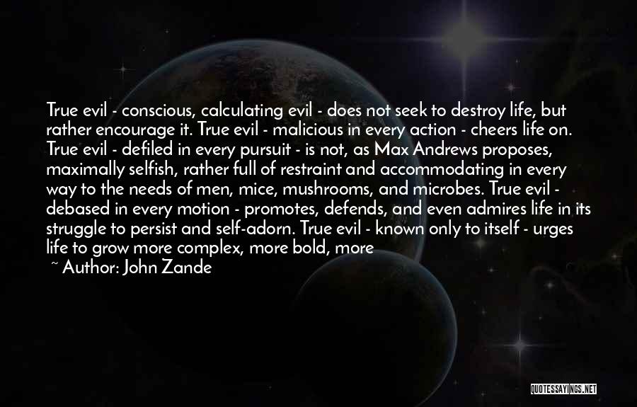 John Zande Quotes: True Evil - Conscious, Calculating Evil - Does Not Seek To Destroy Life, But Rather Encourage It. True Evil -