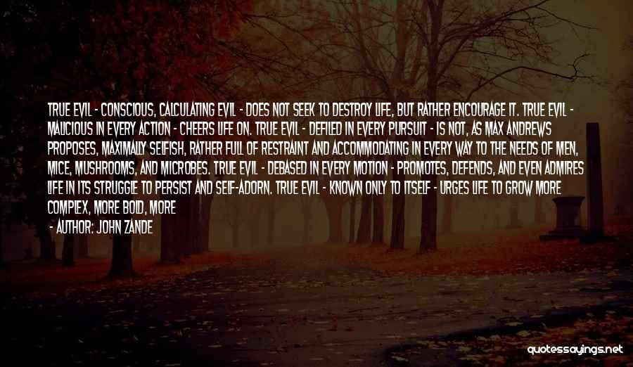 John Zande Quotes: True Evil - Conscious, Calculating Evil - Does Not Seek To Destroy Life, But Rather Encourage It. True Evil -