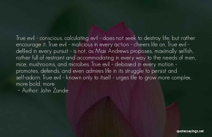 John Zande Quotes: True Evil - Conscious, Calculating Evil - Does Not Seek To Destroy Life, But Rather Encourage It. True Evil -