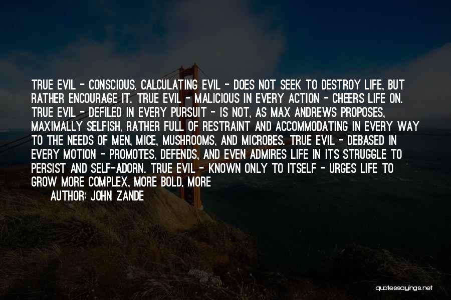 John Zande Quotes: True Evil - Conscious, Calculating Evil - Does Not Seek To Destroy Life, But Rather Encourage It. True Evil -