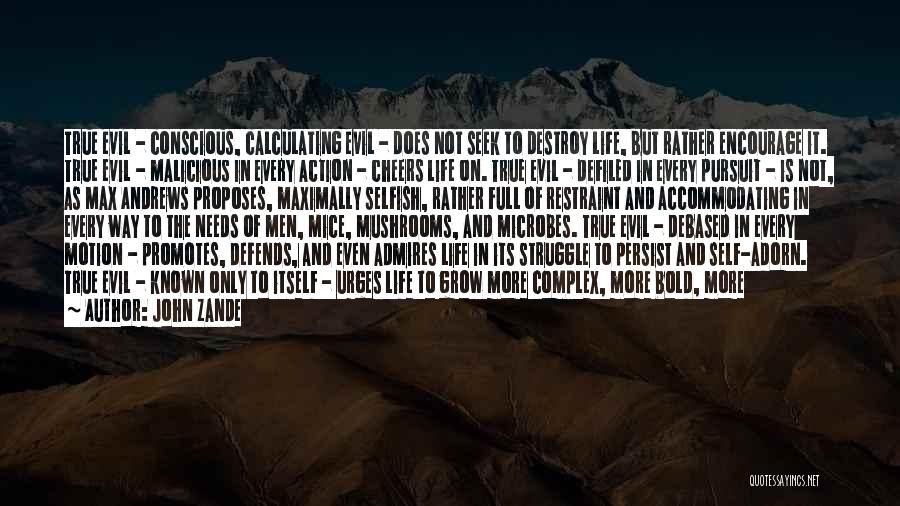 John Zande Quotes: True Evil - Conscious, Calculating Evil - Does Not Seek To Destroy Life, But Rather Encourage It. True Evil -