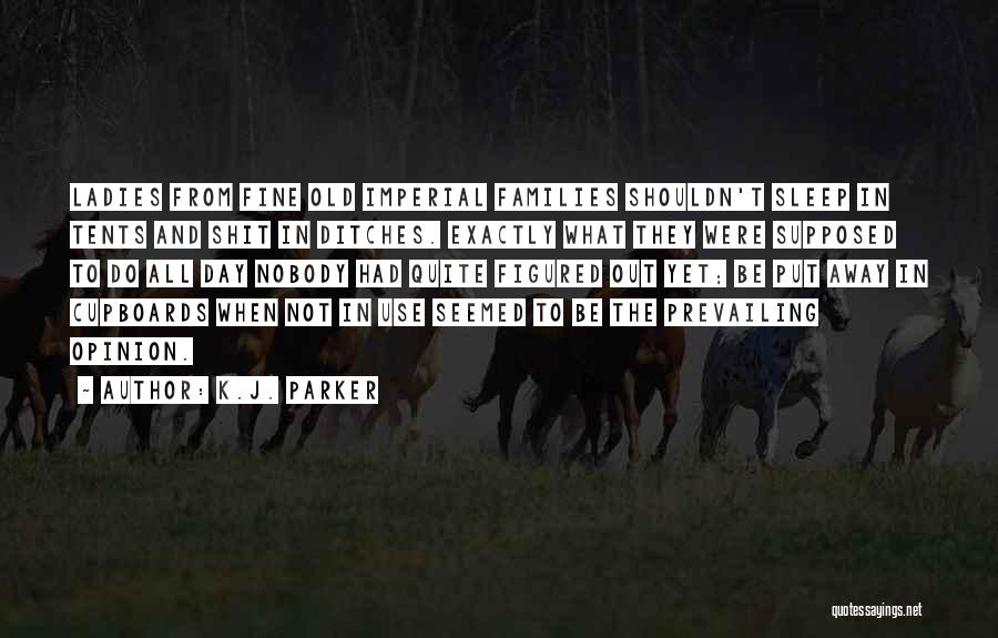 K.J. Parker Quotes: Ladies From Fine Old Imperial Families Shouldn't Sleep In Tents And Shit In Ditches. Exactly What They Were Supposed To