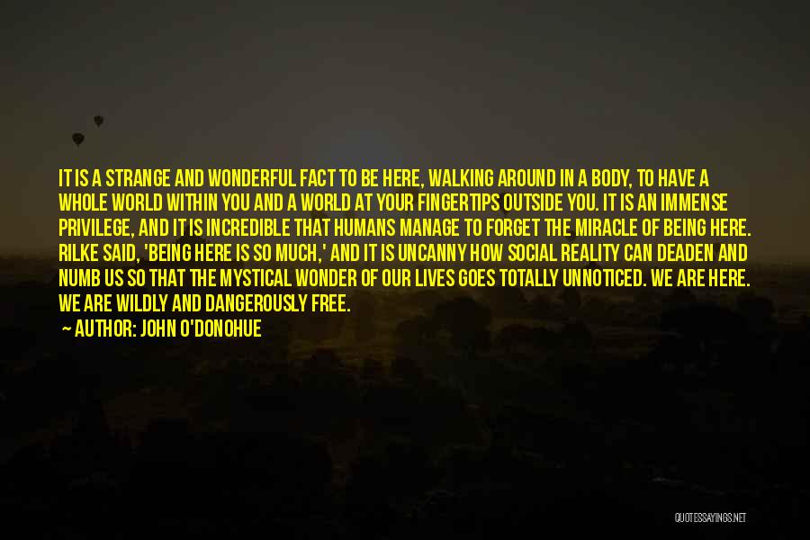 John O'Donohue Quotes: It Is A Strange And Wonderful Fact To Be Here, Walking Around In A Body, To Have A Whole World