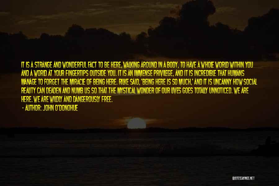 John O'Donohue Quotes: It Is A Strange And Wonderful Fact To Be Here, Walking Around In A Body, To Have A Whole World