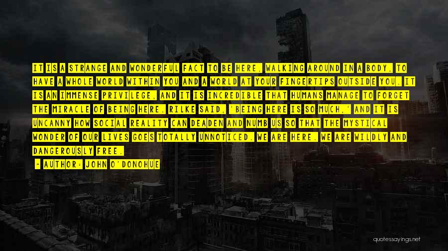 John O'Donohue Quotes: It Is A Strange And Wonderful Fact To Be Here, Walking Around In A Body, To Have A Whole World