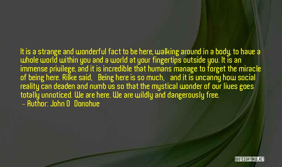 John O'Donohue Quotes: It Is A Strange And Wonderful Fact To Be Here, Walking Around In A Body, To Have A Whole World