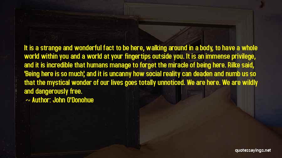 John O'Donohue Quotes: It Is A Strange And Wonderful Fact To Be Here, Walking Around In A Body, To Have A Whole World