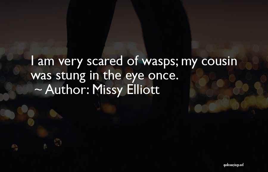 Missy Elliott Quotes: I Am Very Scared Of Wasps; My Cousin Was Stung In The Eye Once.