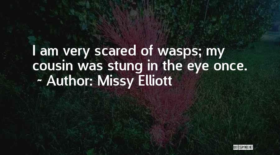 Missy Elliott Quotes: I Am Very Scared Of Wasps; My Cousin Was Stung In The Eye Once.