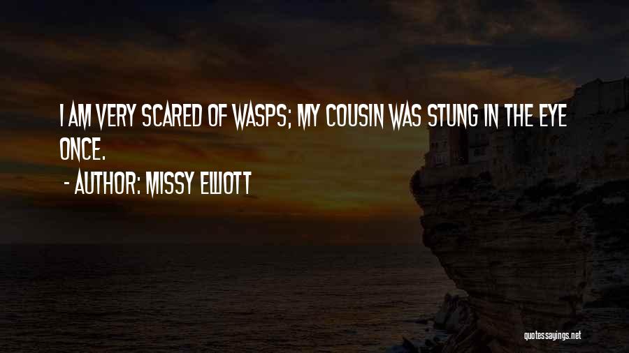 Missy Elliott Quotes: I Am Very Scared Of Wasps; My Cousin Was Stung In The Eye Once.