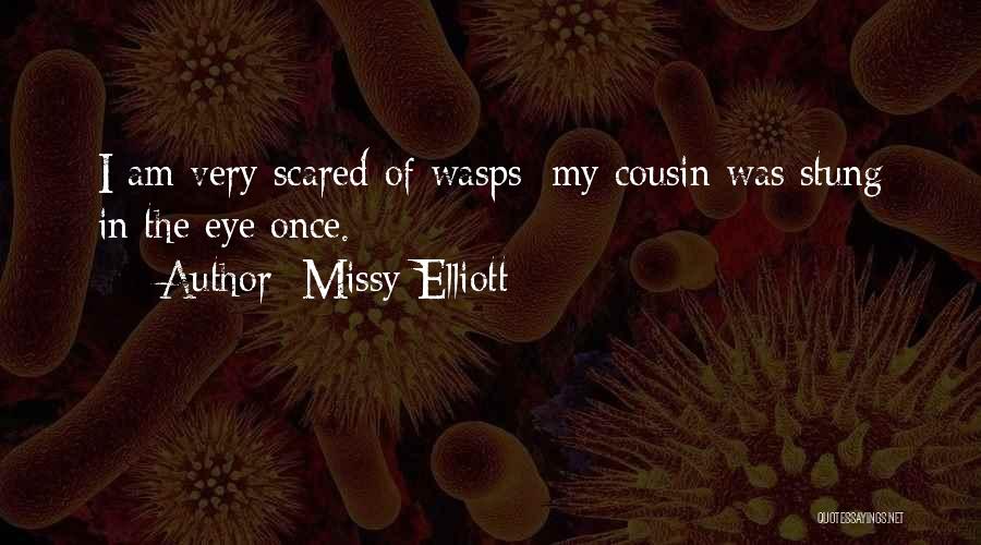 Missy Elliott Quotes: I Am Very Scared Of Wasps; My Cousin Was Stung In The Eye Once.