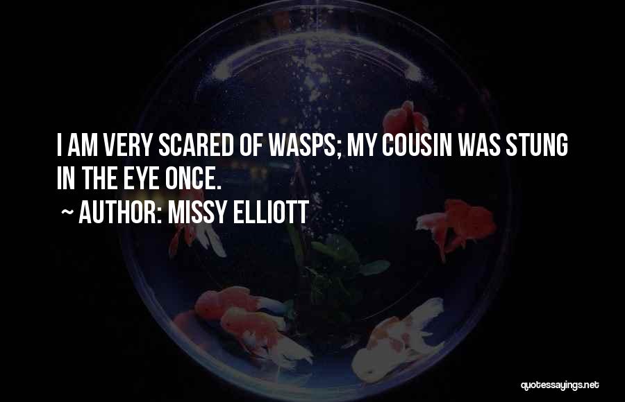 Missy Elliott Quotes: I Am Very Scared Of Wasps; My Cousin Was Stung In The Eye Once.